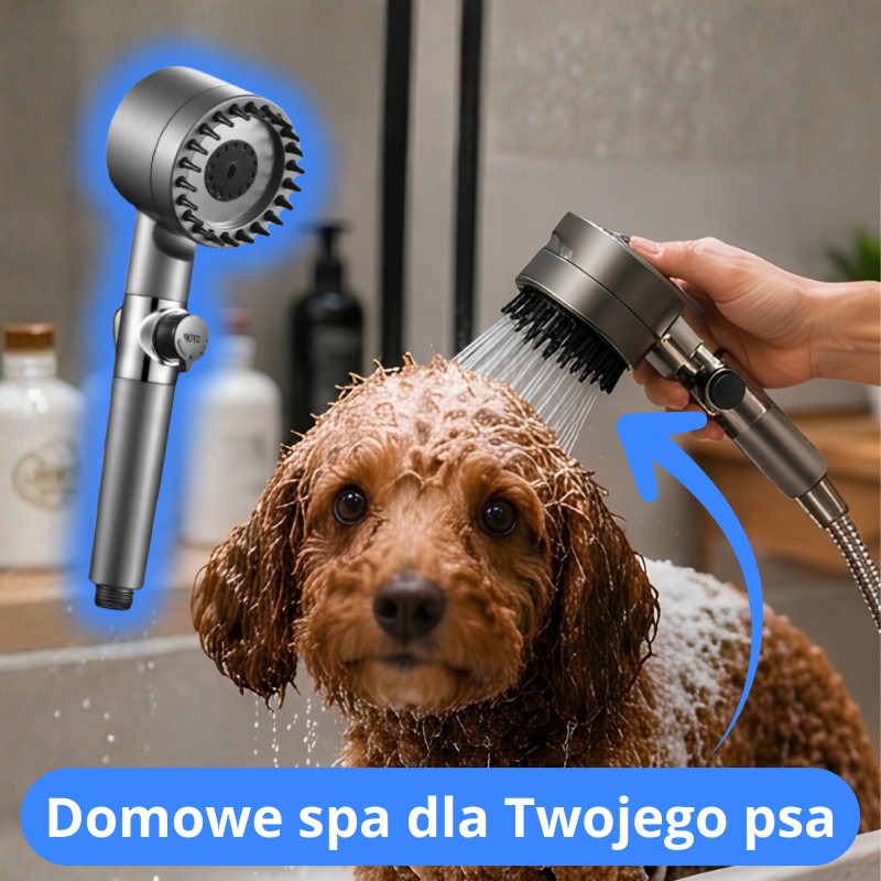 WashPup (28)